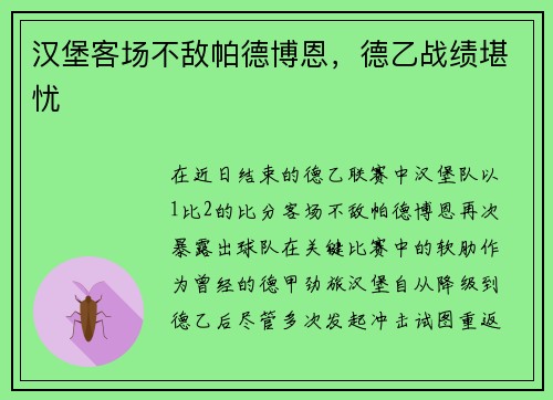汉堡客场不敌帕德博恩，德乙战绩堪忧